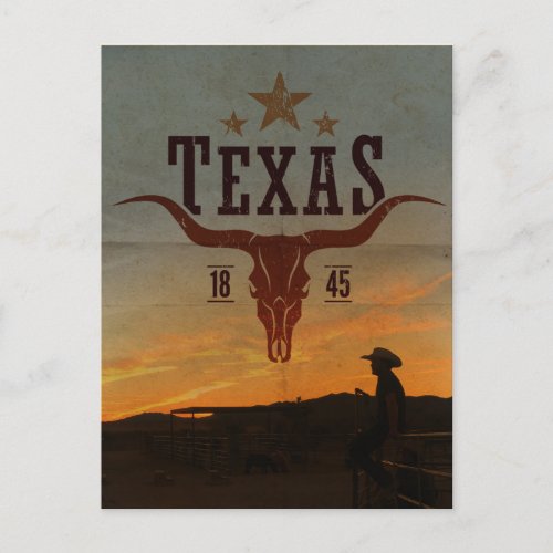 Vintage Texas Cowboy Travel Postcard