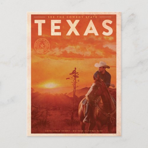 Vintage Texas Cowboy Travel Postcard