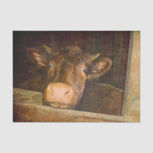 Vintage Texture Cow In Barn Rustic Country Funny Tissue Paper