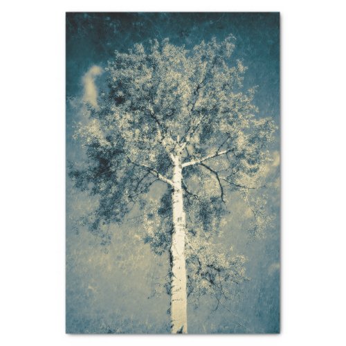 Vintage Texture Forest Tree Against Gray Sky Tissue Paper