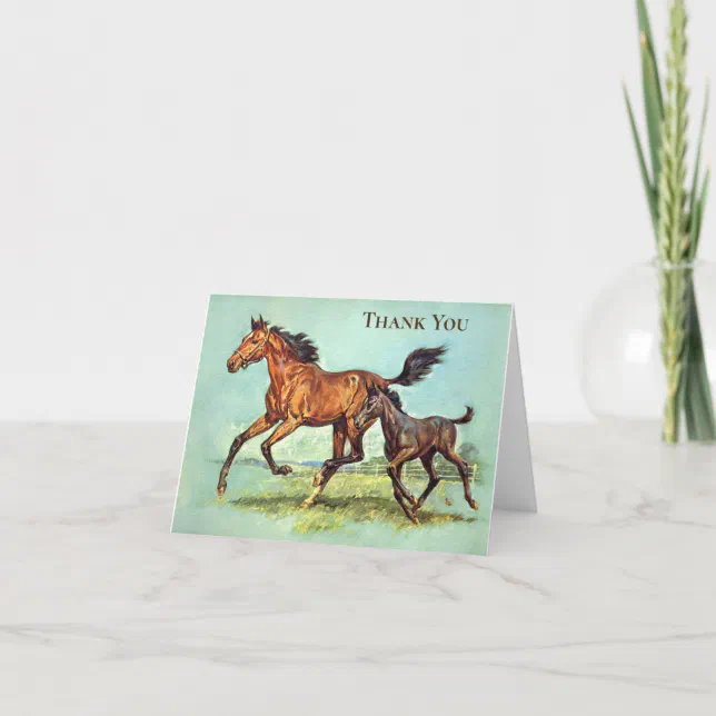 Vintage - Thank You - Horses Run in a Pasture, | Zazzle