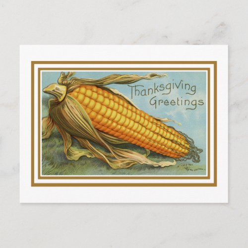 Vintage Thanksgiving Corn Postcard