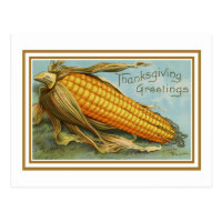 Vintage Thanksgiving Corn Postcard