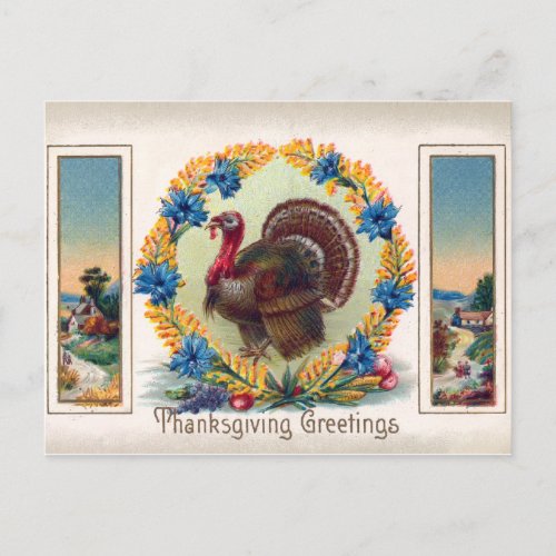 Vintage Thanksgiving Day Turkey Postcard