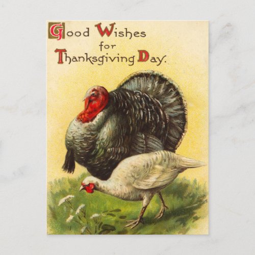 Vintage Thanksgiving Day Turkey Postcard