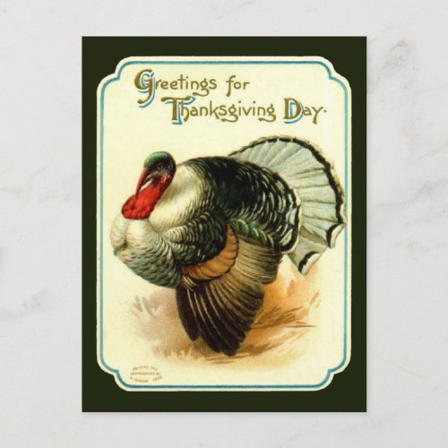 Vintage Thanksgiving Day Turkey Postcard