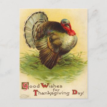 Vintage Thanksgiving Day Turkey Postcard by Vintage_Gifts at Zazzle