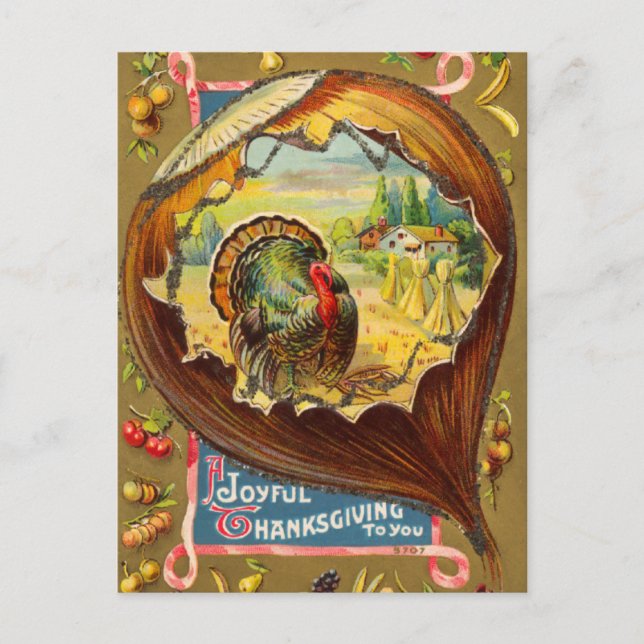 Vintage Thanksgiving Day Turkey Postcard (Front)