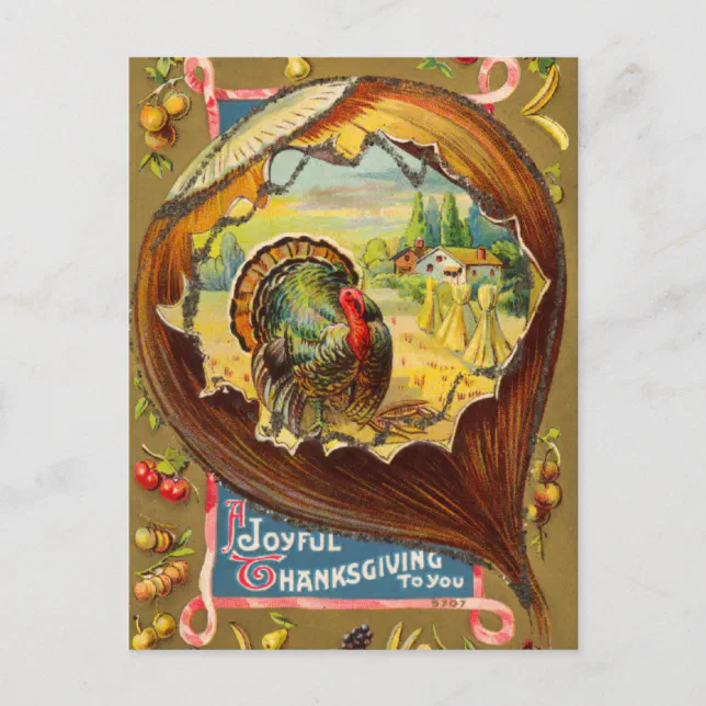 Vintage Thanksgiving Day Turkey Postcard | Zazzle