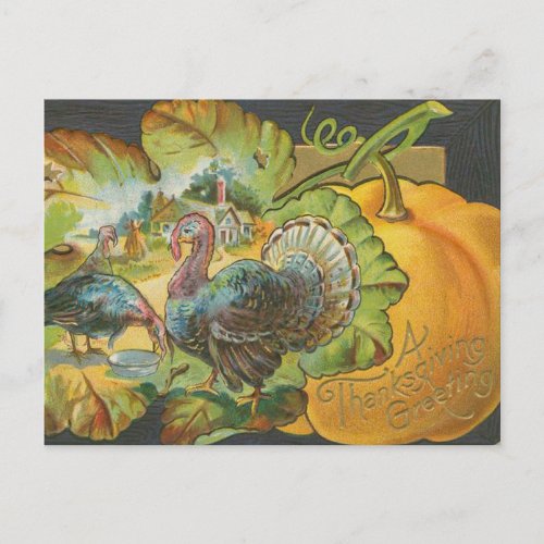 Vintage Thanksgiving greeting turkeys and pumpkin Postcard