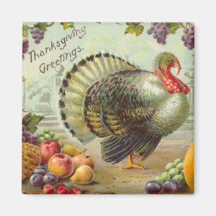 Vintage Thanksgiving Greetings Square Magnet