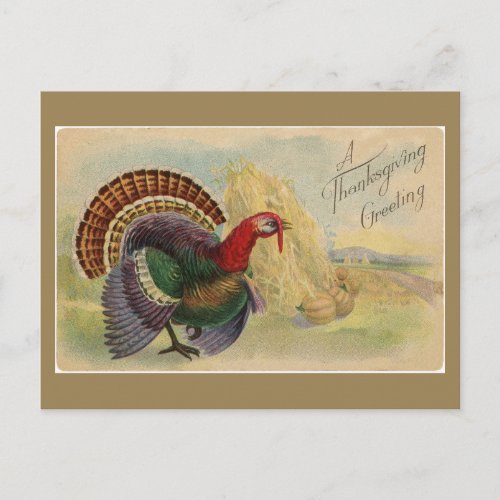 Vintage Thanksgiving Greetings  Turkey Postcard