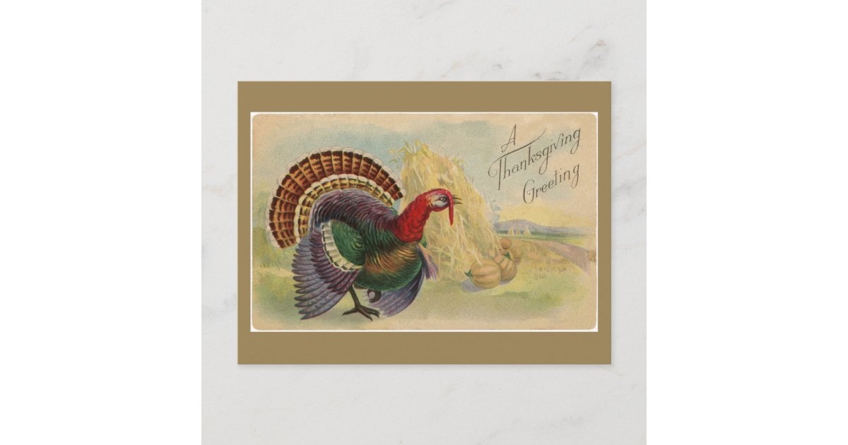 Vintage Thanksgiving Greetings Turkey Postcard | Zazzle