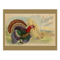 Vintage Thanksgiving Greetings  Turkey Postcard