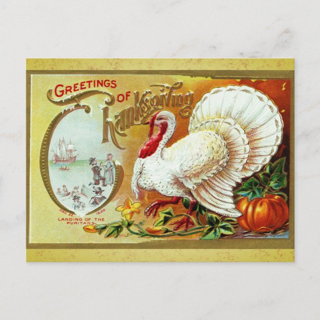 Vintage Thanksgiving Greetings Turkey Postcard (Front)