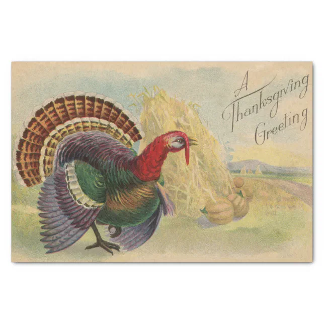 PATTERN: Turkey Tssue Box Cover - Etsy