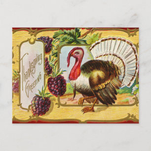 Vintage Thanksgiving Turkey and Blackberries Holiday Postcard