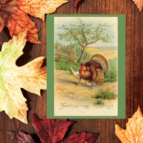Vintage Thanksgiving Turkey and Chicken In Pasture Postcard