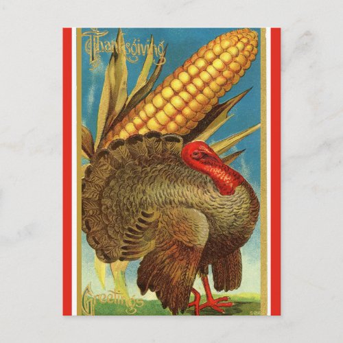 Vintage Thanksgiving Turkey and Corn Postcard