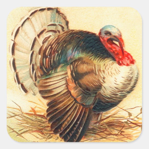 Vintage Thanksgiving Turkey Dinner Gobbler Square Sticker