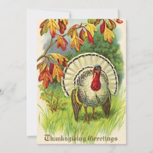 Vintage Thanksgiving Turkey Holiday Card