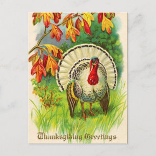 Vintage Thanksgiving Turkey Holiday Postcard