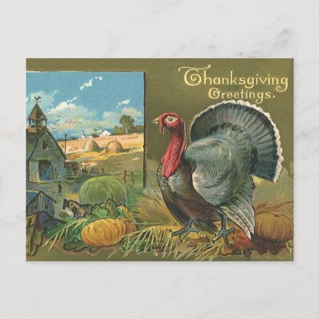 Vintage Thanksgiving, Turkey on the Farm Holiday Postcard (Front)