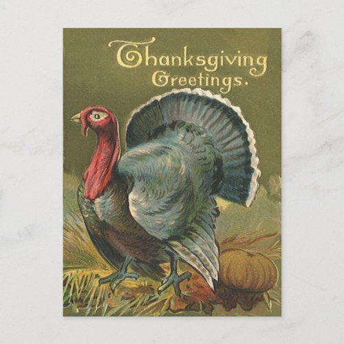 Vintage Thanksgiving Turkey on the Farm Holiday Postcard