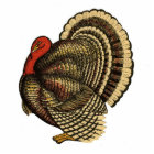 Vintage Thanksgiving Turkey Pin