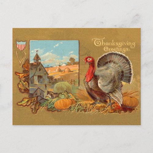 Vintage Thanksgiving Turkey Postcard