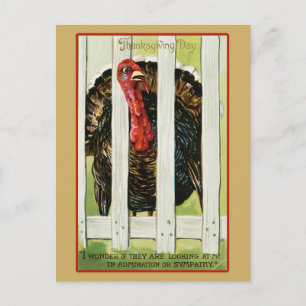 Vintage Thanksgiving Turkey Postcard