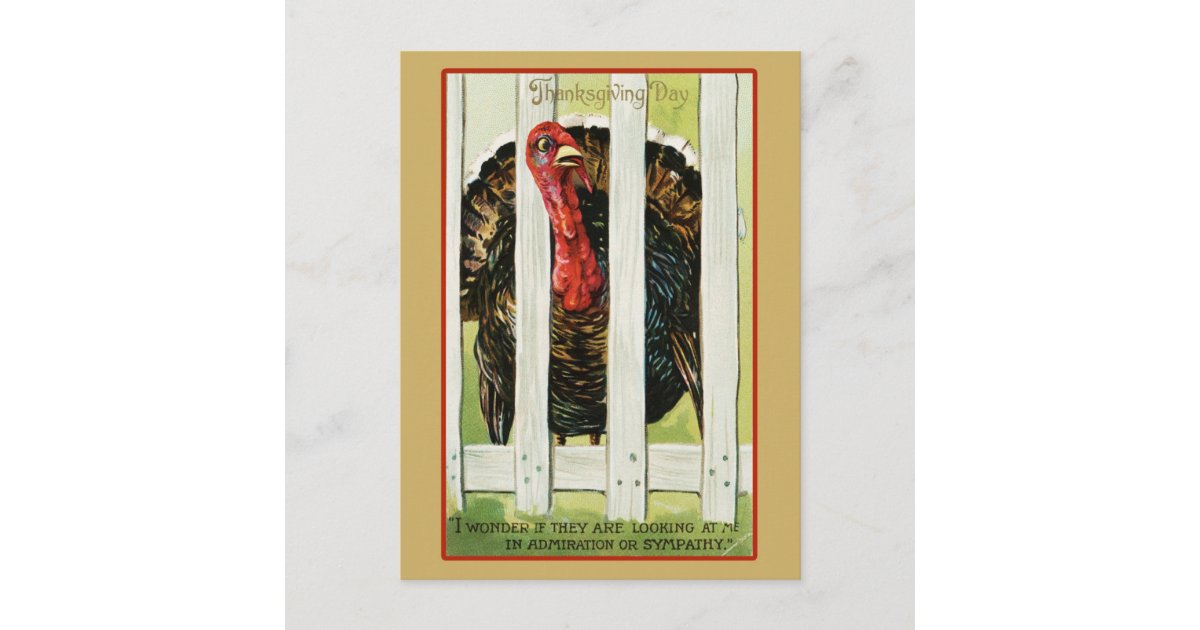 Vintage Thanksgiving Turkey Postcard | Zazzle