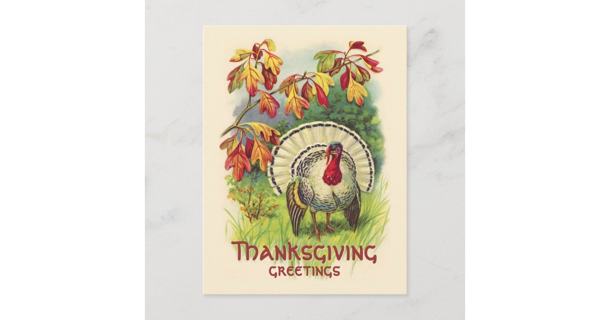 Vintage Thanksgiving Turkey postcard | Zazzle