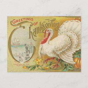 Vintage Thanksgiving turkey Postcard