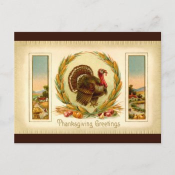 Vintage Thanksgiving Turkey Postcard by Vintage_Gifts at Zazzle