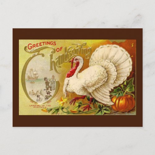 Vintage Thanksgiving Turkey Postcard