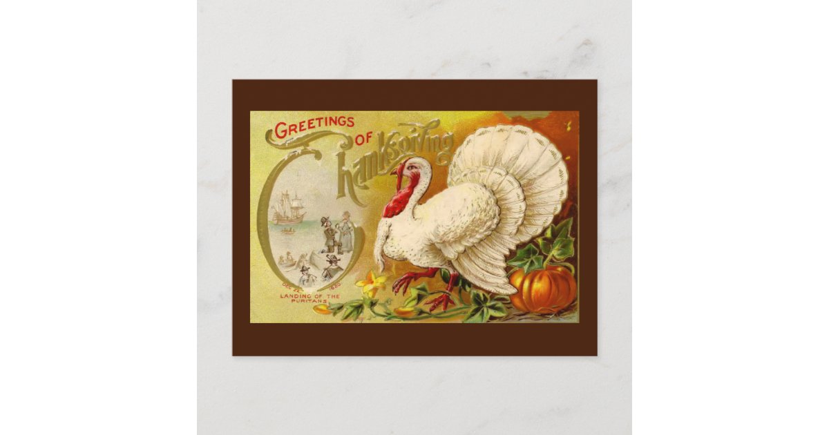 Vintage Thanksgiving Turkey Postcard | Zazzle