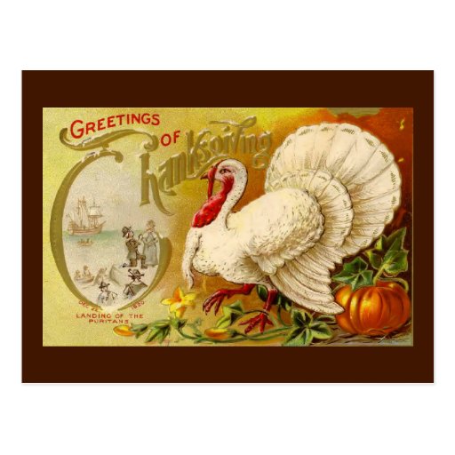 Vintage Thanksgiving Turkey Postcard | Zazzle