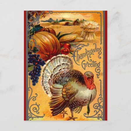 Vintage Thanksgiving Turkey Postcard Greeting