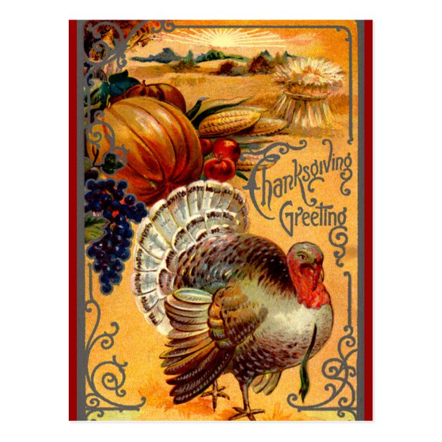 Vintage Thanksgiving Turkey Postcard Greeting