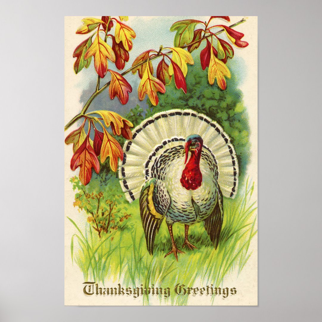 Vintage Thanksgiving Turkey Poster | Zazzle