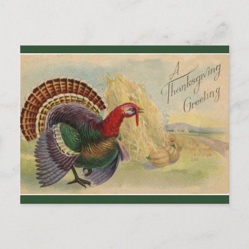 Vintage Thanksgiving Turkeys and Haystacks Postcard