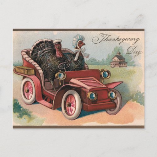 Vintage Thanksgiving Turkeys Riding in a Car Postcard