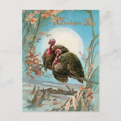 Vintage Thanksgiving Turkeys Under a Full Moon Postcard