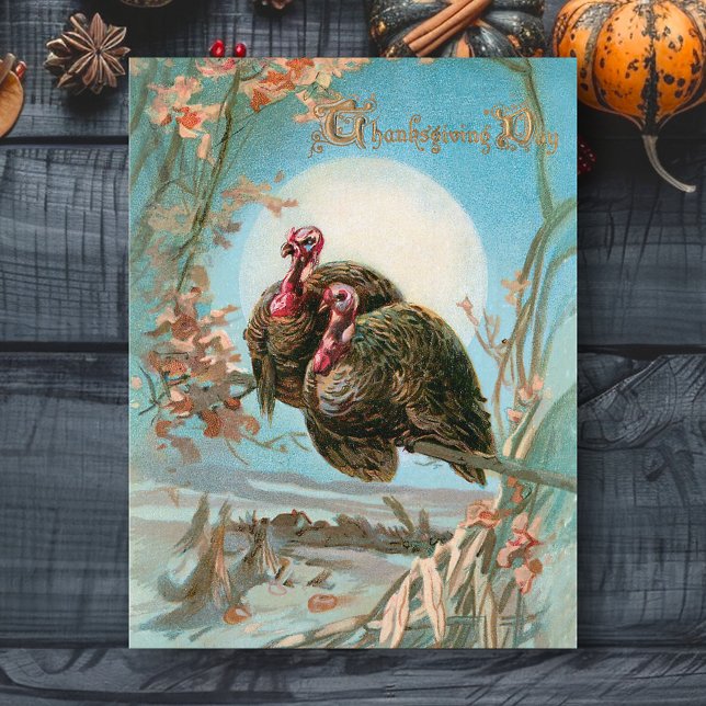 Vintage Thanksgiving Turkeys Under a Full Moon Postcard (Creator Uploaded)