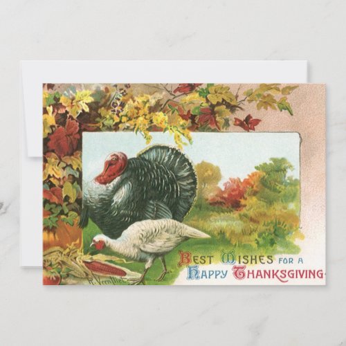 Vintage Thanksgiving Wild Turkeys Autumn Colors Holiday Card