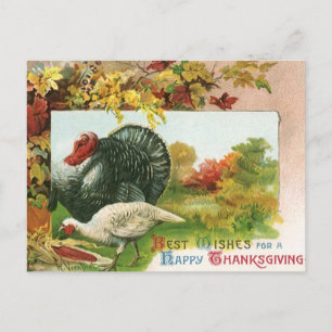 Vintage Thanksgiving, Wild Turkeys Autumn Colors Holiday Postcard