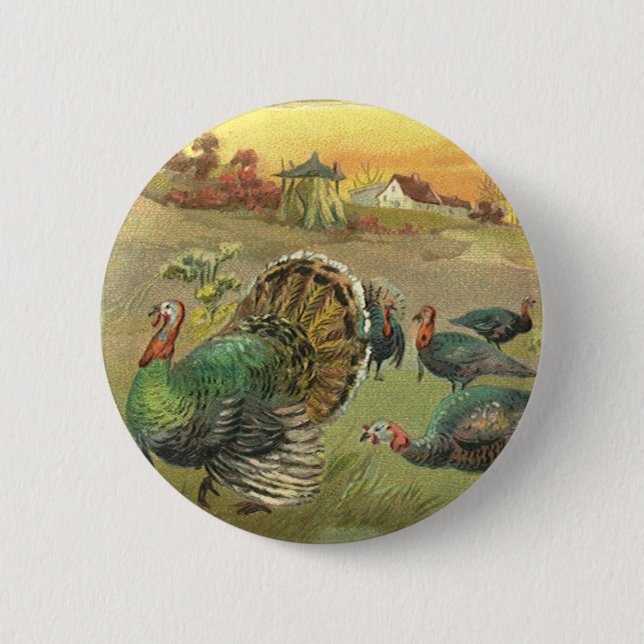 Vintage Thanksgiving with Turkeys and Pilgrims Button (Front)