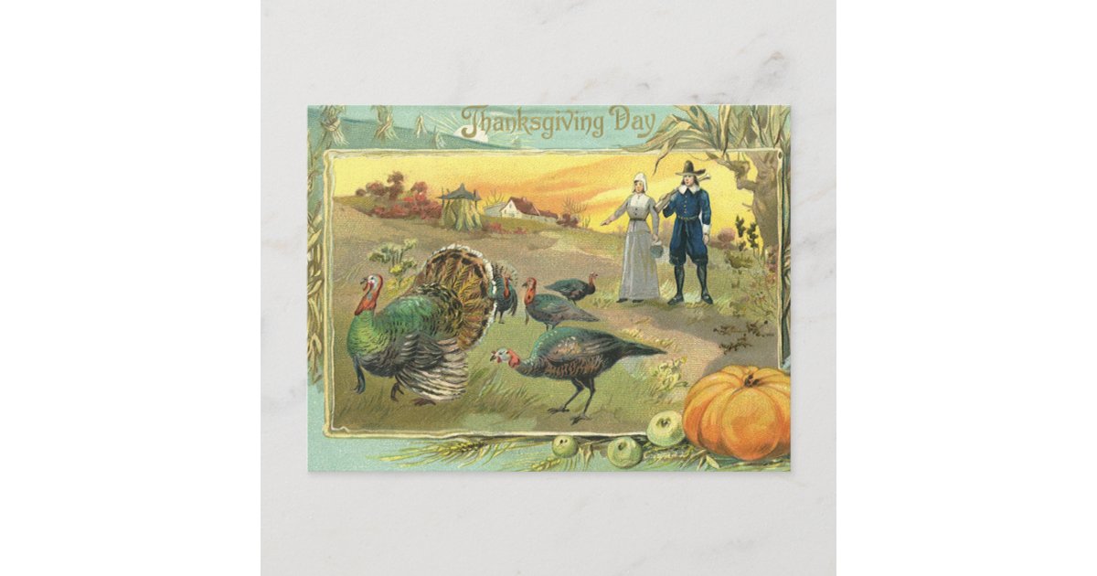Vintage Thanksgiving With Turkeys And Pilgrims Holiday Postcard