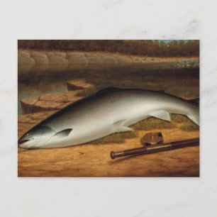 Vintage The Big Catch A Salmon on a River Bank Postcard